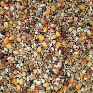 VB Racing Exclusive Nr.39...