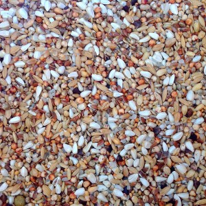 IR Extra Dieta (20kg)