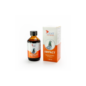 Impact (250ml)