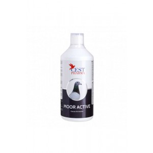 Moor Active (1000ml)