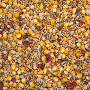 Economic Allround (20kg)