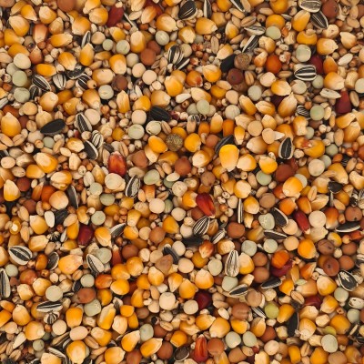 Economic Reproductie (20kg)