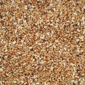 Economic Dieta (20kg)