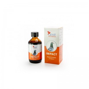 Impact (100ml)