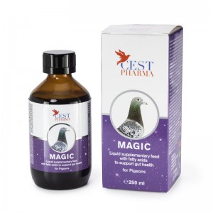 Magic (250ml)