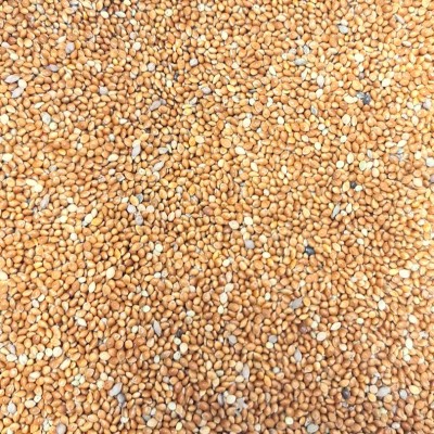 Mei galben (4kg)