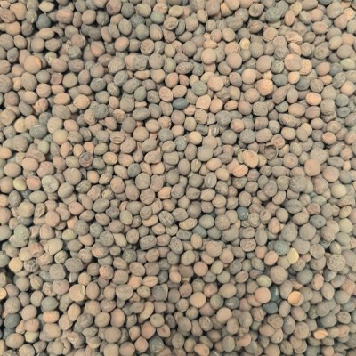 Mazariche (25kg)
