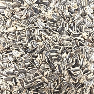 Floarea soarelui pestrita (20kg)