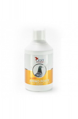 Amino Forte (500ml)