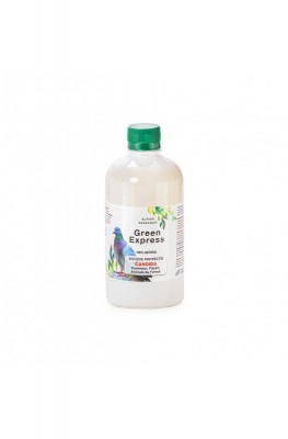 Green Express Candida (500ml)