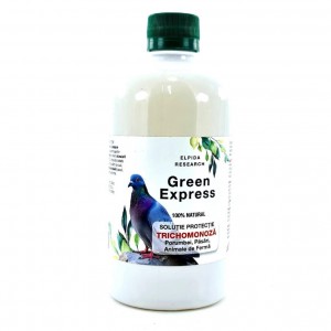 Green Express Trichomonoza...