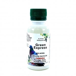 Green Express Candida (100ml)
