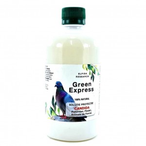 Green Express Candida (500ml)