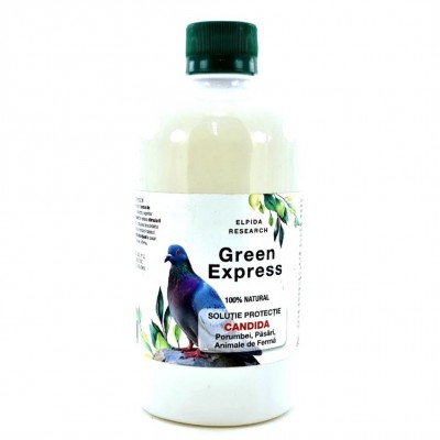 Green Express Candida (500ml)