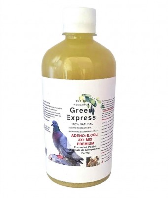 Green Express 3 in 1 Mix Premiuim...