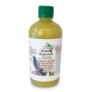 Green Express 7 in 1 Mix...