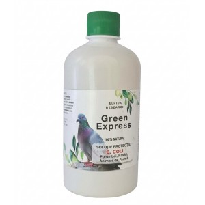 Green Express E.coli (500ml)