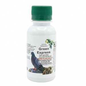 Green Expres Nano...