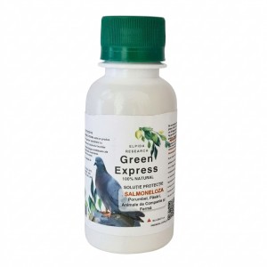 Green Express Salmoneloza...