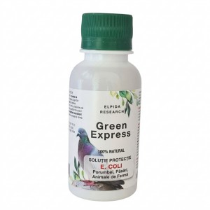 Green Express E.coli (100ml)