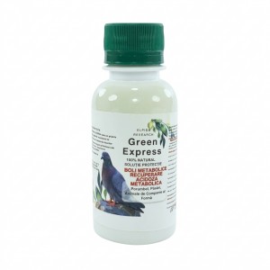 Green Express Recuperare...