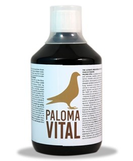 Paloma Vital (500ml)